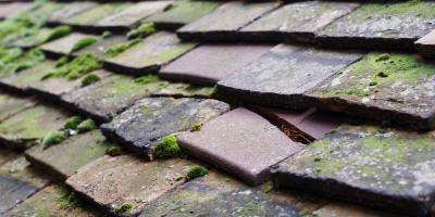 Bucklebury roof repair costs